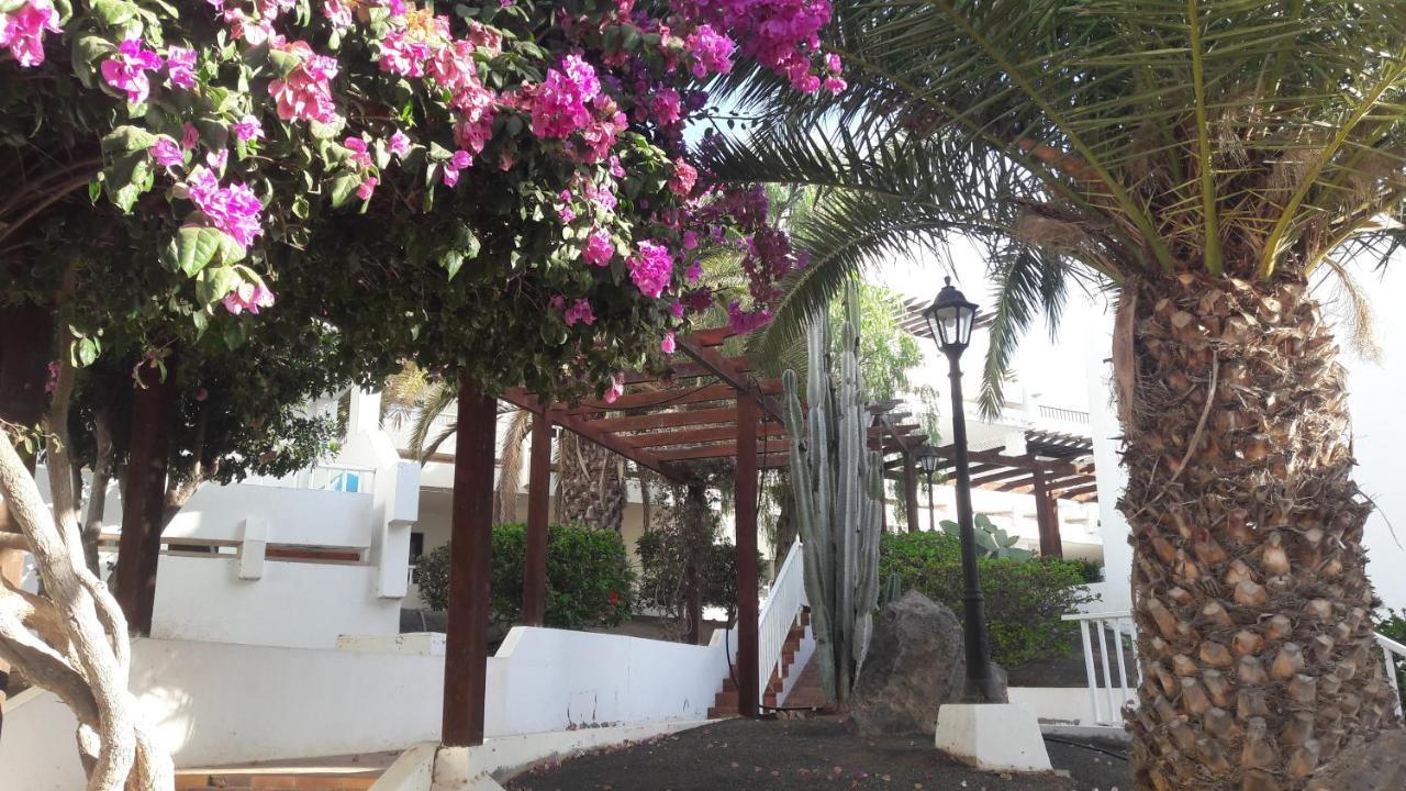 Sunny Self-Catering Apartment Costa Teguise, Lanzarote, Spain المظهر الخارجي الصورة